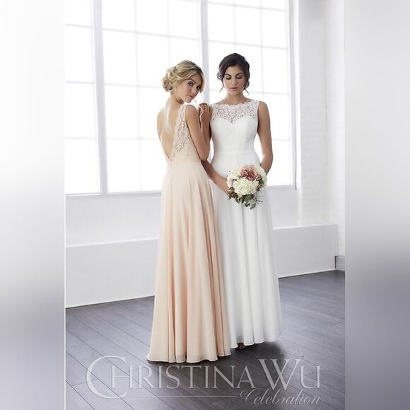 Christina Wu 22813 Blush Pink Lace Chiffon Bridesmaid Prom Formal Maxi Gown 4 - Picture 9 of 9